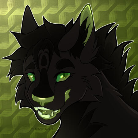 Minimally Shaded Headshot